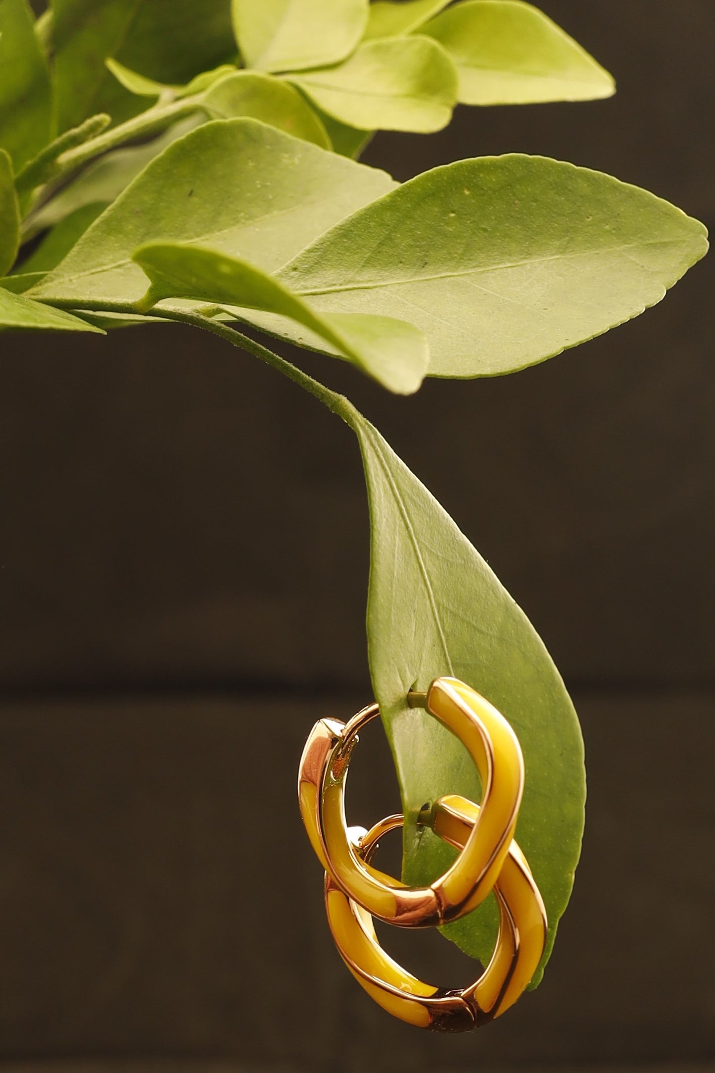 Smara 18k Gold Plated Huggie Earrings